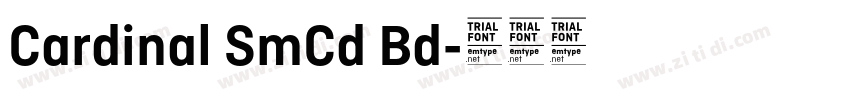 Cardinal SmCd Bd字体转换
